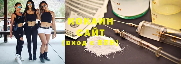 сатива Кукмор