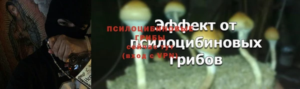 ГАЛЛЮЦИНОГЕННЫЕ ГРИБЫ Куйбышев