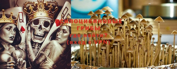 ГАЛЛЮЦИНОГЕННЫЕ ГРИБЫ Куйбышев