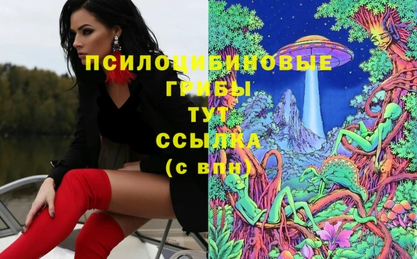 ГАЛЛЮЦИНОГЕННЫЕ ГРИБЫ Куйбышев