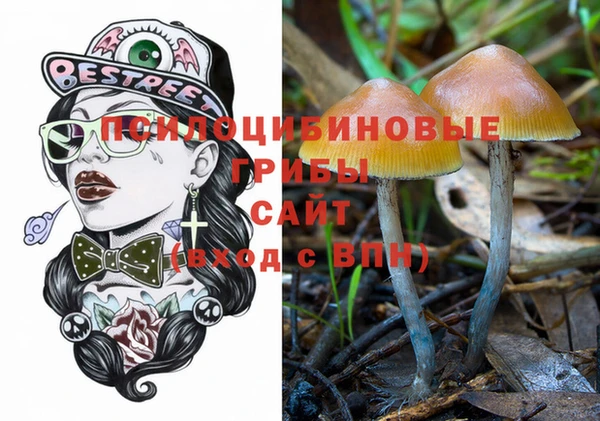 сатива Кукмор