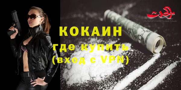 сатива Кукмор