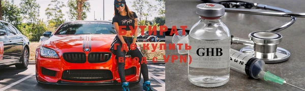 сатива Кукмор